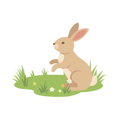 Spring Equinox Rebirth Illustration