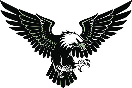 Aggressive eagle mascot with spread wings attacking predatory bird emblem logo wildlife tattoo illustration powerful raptor symbol design