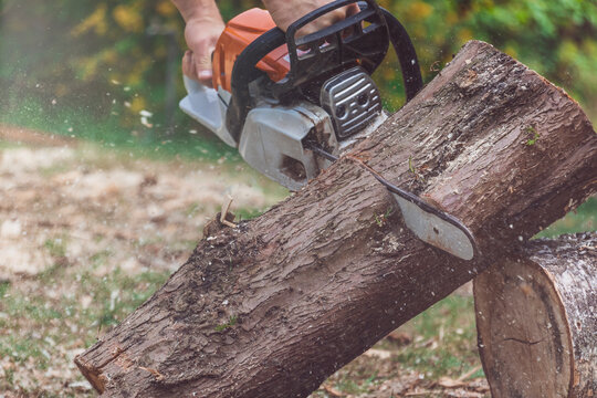 Man jointing a tree trunk with a motor saw