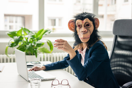 Businesswoman with chimpanzee mask working in office, using laptop