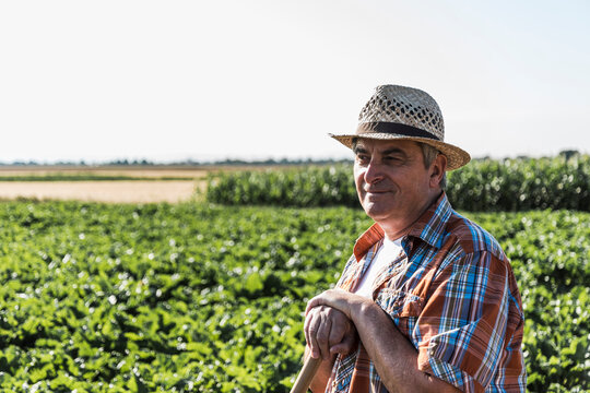 Portrait of smiling senior farmer standing in front of a field