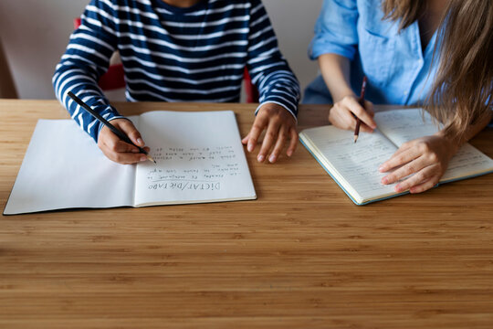 Female tutor with boy studying on table at home