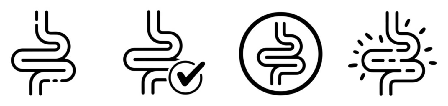 human intestine bowel organ icon set