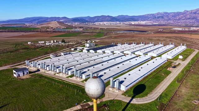 Greenhouses are arranged in rows on a large plot of land. Mountains and a city are visible in the background. The sky is clear and it is daytime.