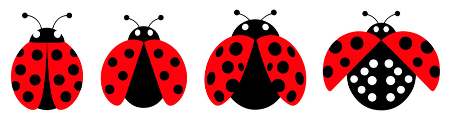ladybug red black icon set © graphixecho