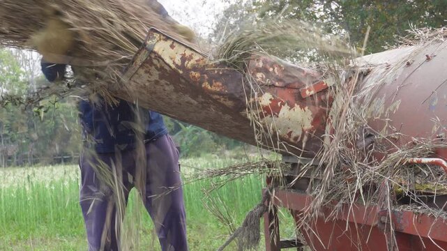 Farmer Operating Threshing Machine in Rural Field