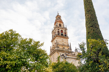 Obraz premium The ornate bell tower of the Mezquita Catedral in Cordoba rises above citrus trees, framed by a tall cypress. Daytime diffused light reveals warm stone and open bell arches.