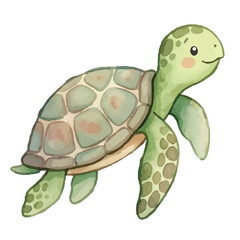 Fototapeta premium Cute turtle on a white background with shell isolated nature wildlife pet reptile