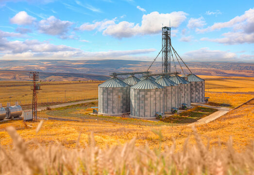 Agricultural Silos for storage and drying of grains, wheat, corn, soy, sunflower - Harvested field with straw bales in summer