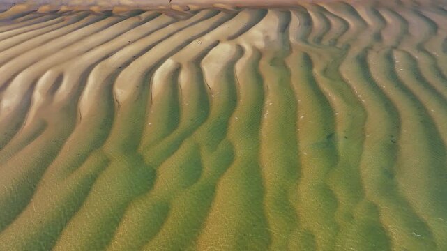 Bassin d'Arcachon, Gironde, Nouvelle-Aquitaine, France, banc pereire &agrave; arcachon &agrave; mar&eacute;e basse