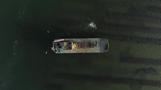 Bassin d'Arcachon, Gironde, Nouvelle-Aquitaine, France, bateau d'ostr&eacute;iculteur vue de haut dans les parcs &agrave; hu&icirc;tres du bassin d'arcachon