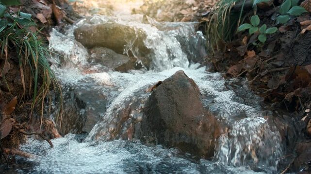 Fresh water of a forest stream flowing on rocks in slow motion and beautiful ligh
