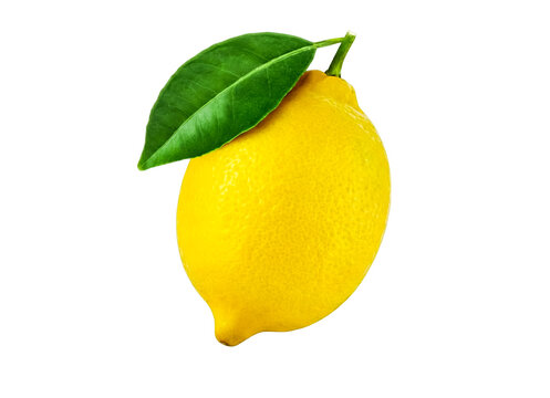 Fresh Lemon with Green Leaf and Transparent Background