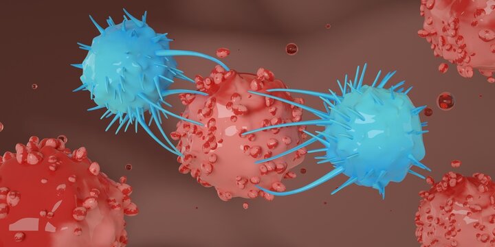 Cytotoxic T cells (blue) attack a cancer cell (red). Killer T-cell or B-cell concept. CAR T-Cell Therapy. White blood cells. Natural killer cell. Photo stock