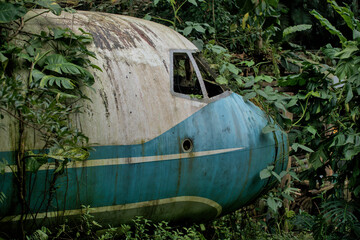old plane in jungle