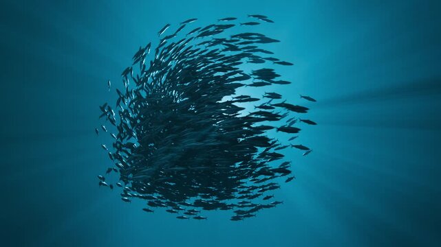 Slow Motion Bait Ball Fish Swarm Sphere Underwater, 3D Ocean Concept Animation