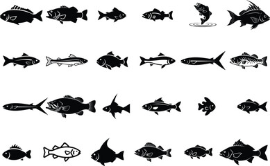 Fototapeta premium Black and white illustrations of various fish species on white background