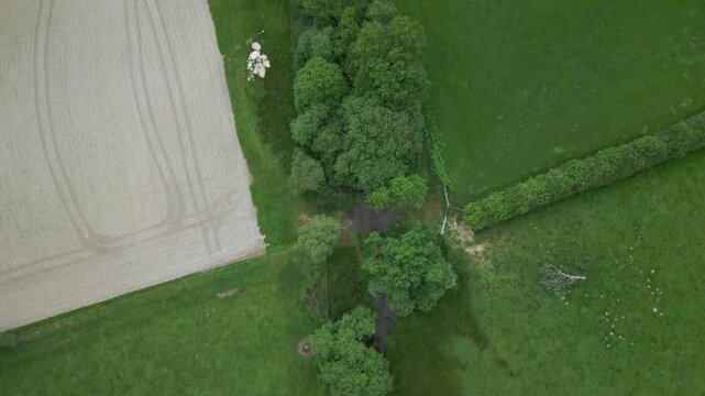Aerial view of a pastoral landscape with tilled fields, lush green pastures, a cluster of trees, and a fallen branch.