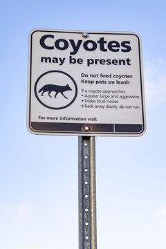 Attention coyotes. A sign warning of coyotes in the area. Ontario, Canada.