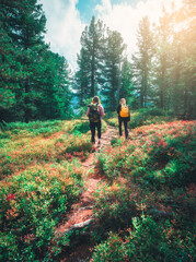 Fototapeta na wymiar Two young women with backpacks hiking on a forest path at sunset in Dolomites, Italy. Girls in mountain forest with green trees and red flowers, sunlight in autumn. Outdoor adventure and alpine travel