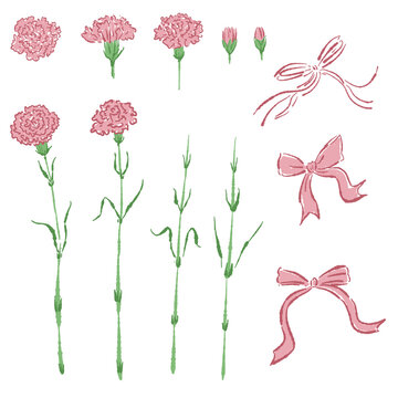 Pink Carnation Flower Corner Frame Decoration Vector