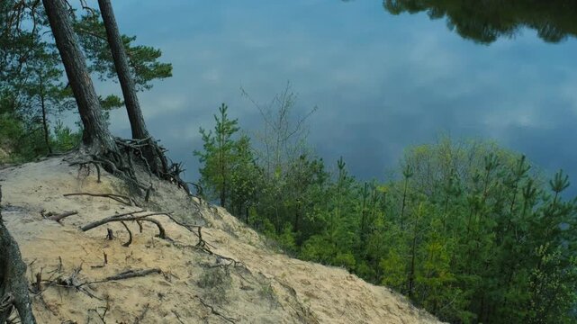 Beautiful Wildlife: river, forest, meadow, sky,  big tree's roots. View to river with a beautiful meadow, in the spring. Camera moves up. Beautiful nature for travelling.