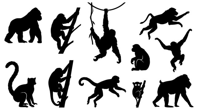 Collection of various primate species silhouettes including gorilla orangutan chimpanzee and lemur in active poses