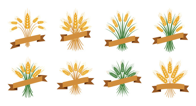 Multiple illustrations of golden wheat stalks bundled together with brown decorative ribbons representing harvest and agriculture themes.