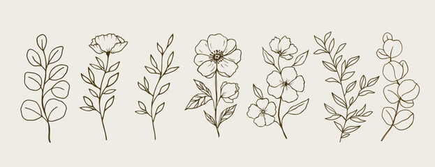 Vector hand-drawn set of flowers and leaves line art. Design for wall art, greeting cards, posters, stickers, package, logo, herbal tea and cosmetics. © TetianaKotova