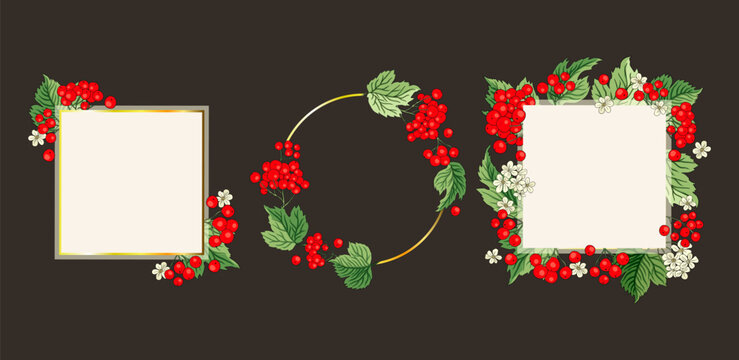 Viburnum Guelder Red Berry Frame Set  Decorative Banner Border Card Invitation Vector Fall Frame Autumn Fruit