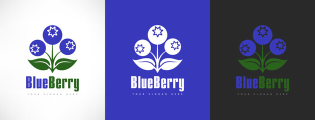 Blueberry berries logo vector design  © Natalia Iachimova