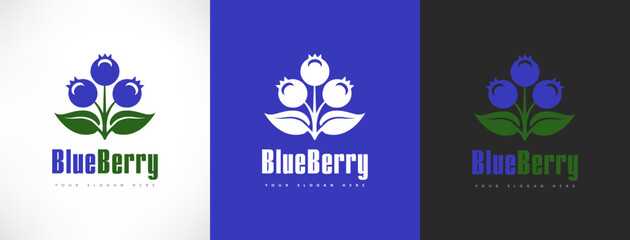Blueberry berries logo vector design  © Natalia Iachimova