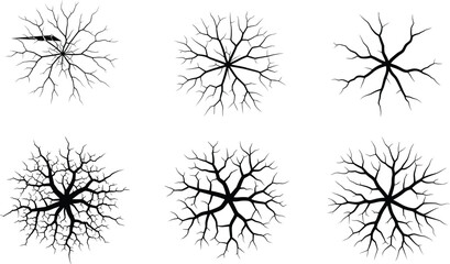 Dead leafless tree top view silhouette set, branch crown bundle for architectural plan, landscape design vector, isolated winter nature elements. © Hafiza