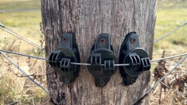 insulators for electrical fencing fixed on a pole.