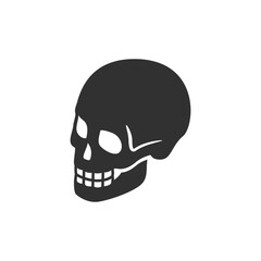 Human skull icon. Anatomy bone structure and death symbol concept. Monochrome black and white symbol