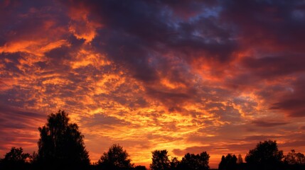 Fototapeta premium A dramatic sunset with vibrant red and orange clouds and silhouettes of trees in the foreground, set against a dark sky