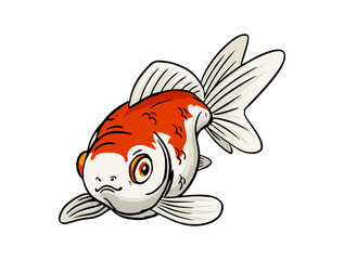 Cute Orange and White Koi Fish Swimming in Water