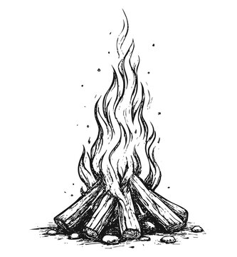A burning bonfire line art sketch illustration - vector isolated on transparent background
