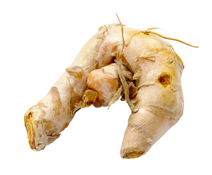 natural fresh curcuma rhizome isolated on white background from Thailand