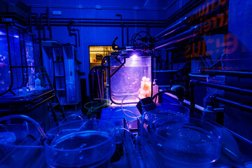Seville, Spain laboratory shows a transparent tank with pale coral like forms under a violet lamp, tubing and gauges loop around, stainless pipes and basins suggest research.