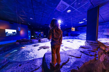 A child stands on rock ledges in an illuminated aquarium exhibit in Seville, Spain, gazing at a large tank with sandy shallows and dark stones under cool blue and violet light.