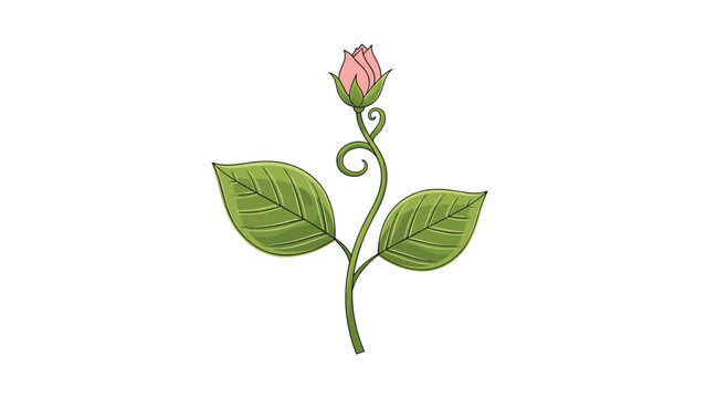 Delicate illustration of a single pink rosebud flower on a green leafy stem with elegant swirling vine details.