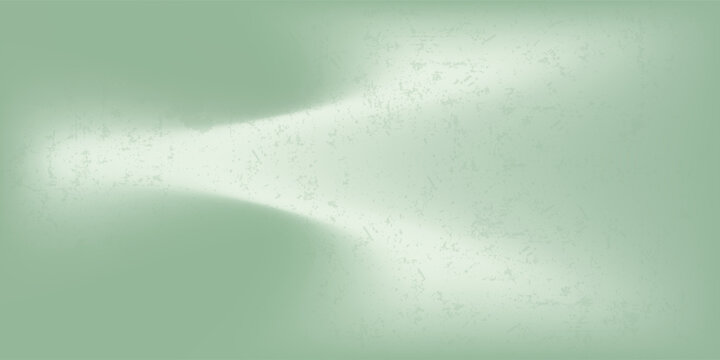 Background nature Green Shadow Abstract Overlay Leaf Natural blur Cement Wall Floor