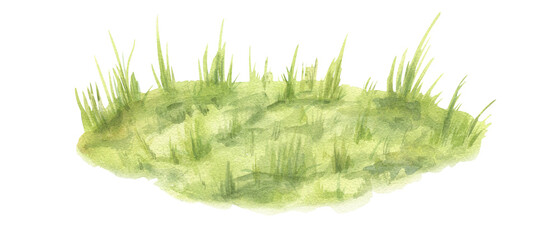 Green grass lawn watercolor illustration on isolated background. Natural blade plants, wild herbs landscape scene. Meadow or field natural texture for social media posts about nature spring decor. © Masha_tolk_art