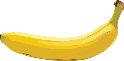 Ripe yellow banana fruit vector illustration isolated on white background, fresh tropical food clipart for healthy nutrition design, grocery, smoothie, and diet concept © MdHarunur