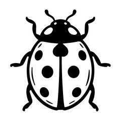 vector illustration of a ladybug © Desi