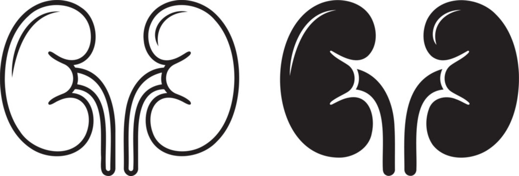Human kidney silhouette & outline set isolated on transparent background 