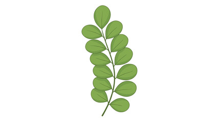 Obraz premium Green leafy branch illustration showing a single stem with multiple rounded leaves in a simple flat design style on a white background.