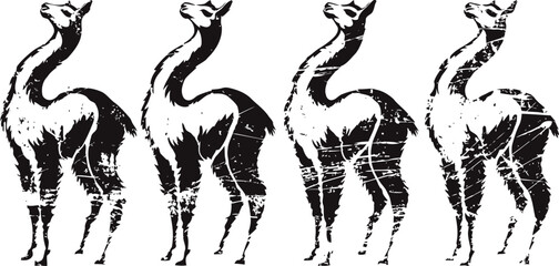 Fototapeta premium Black and white vintage llama silhouettes set with distressed texture, rustic ink artwork