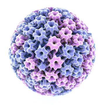 Medical illustration of Human Papillomavirus (HPV) infection, a widespread viral infection often transmitted through sexual contact,